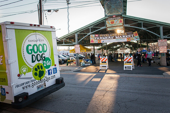 dog day 04052014-14
