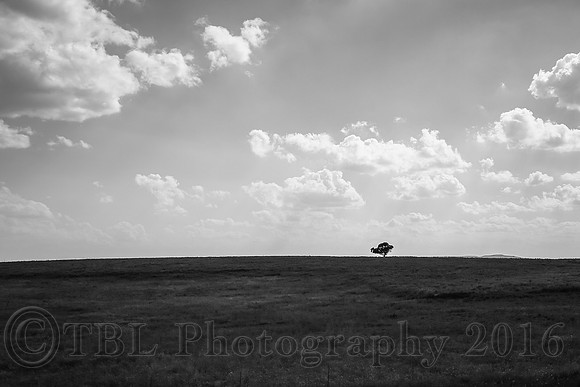 Out of the Car Window