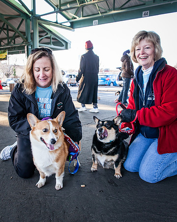 dog day 04052014-16