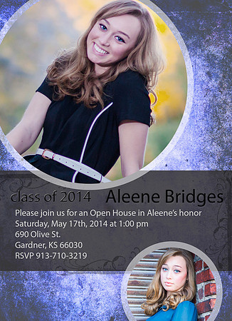 alee bridges Grunge1Front blue copy