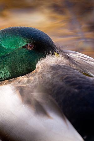 20111025 antioch park-209