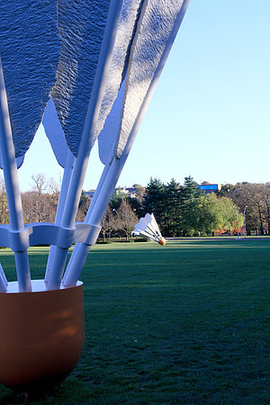 Shuttlecocks of the Nelson