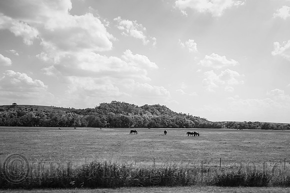 Out of the Car Window
