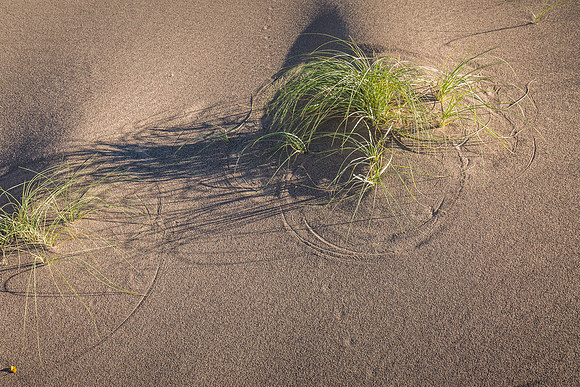 Sand Swirls 3