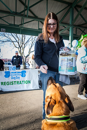 dog day 04052014-21