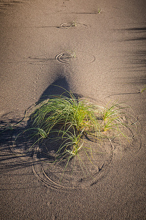 Sand Swirls 2