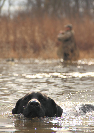 Klima duck hunt_20101122_0233