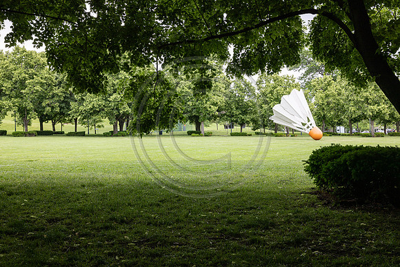 EBBS0093