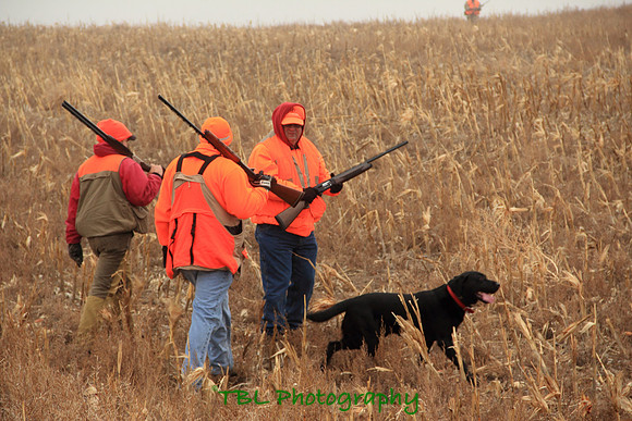 Wakeeney 2010 November Pheasant Hunt