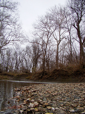 Fall Creek