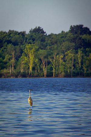 Pomme de Terre (101 of 286)