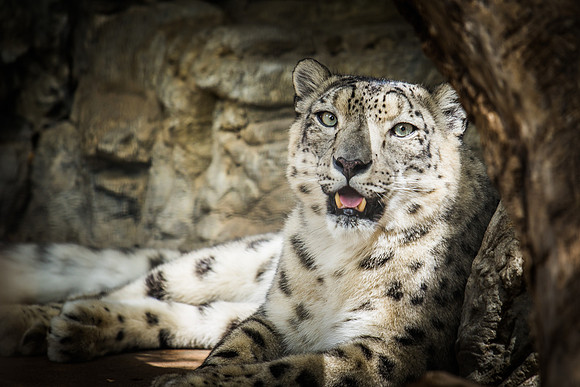 denver zoo 09082014-4
