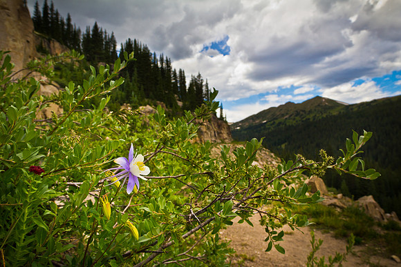 Alpine Tunnel (11 of 29)