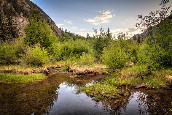 Chalk Creek beaver pond