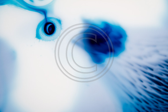 swirls-7