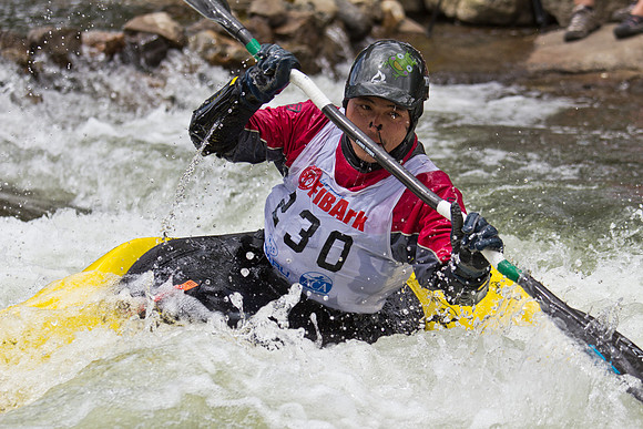 2012 Fibark-34