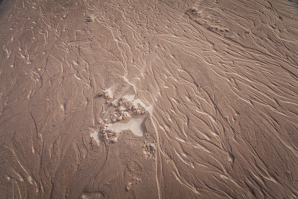 The Great Sand Dunes National Park 09042014-31