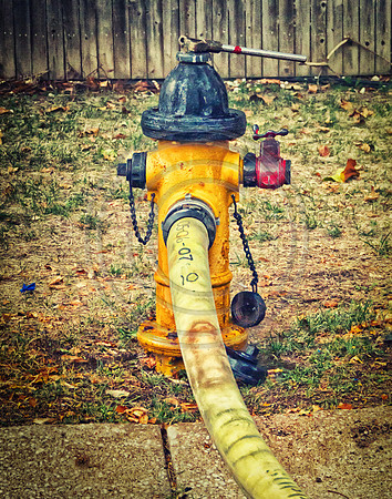 Greenbriar fire hydrant-1