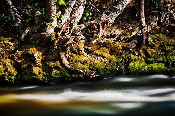 Chalk Creek