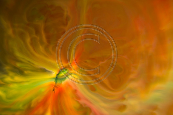 swirls-53