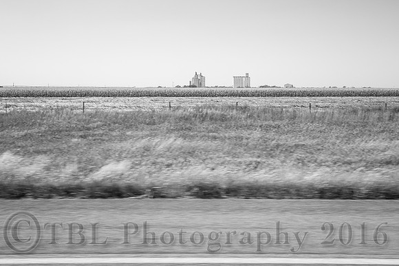 Out of the Car Window