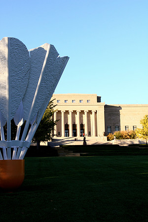 Shuttlecocks of the Nelson
