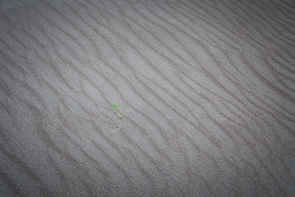 The Great Sand Dunes National Park 09042014-4