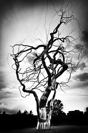 Fermented - The Nelson Atkins