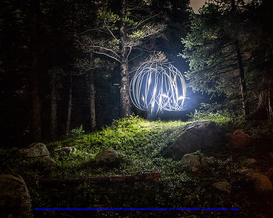 Lights in the dark timber