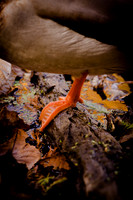 20111025 antioch park-200