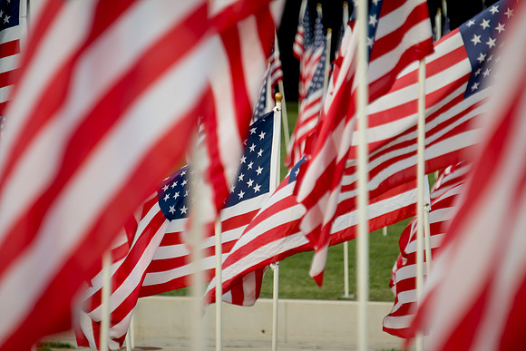 US Flags (5 of 8)