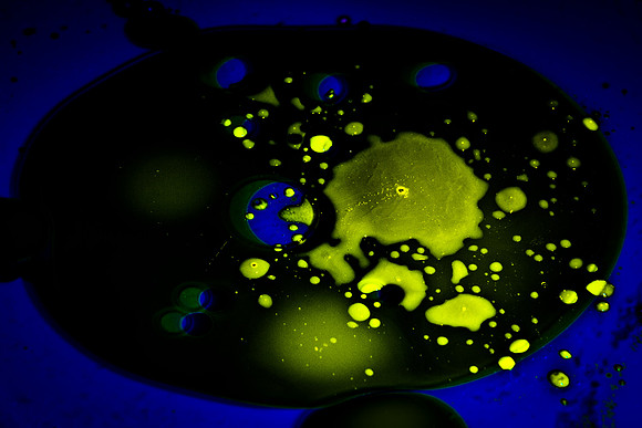 Green Glow-4