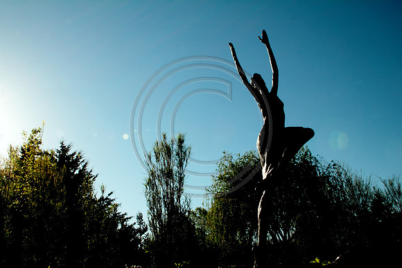 arboretum0422112