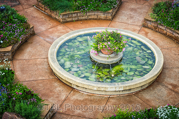 _MG_0401-Edit