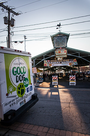 dog day 04052014-15