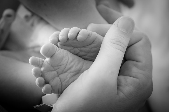 baby batalia-4