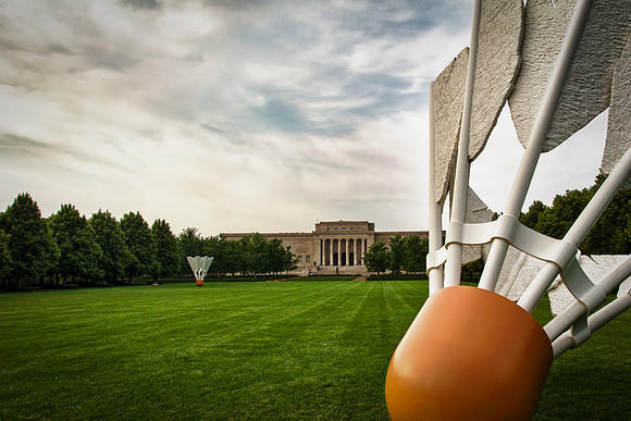 Shuttle cock on the lawn