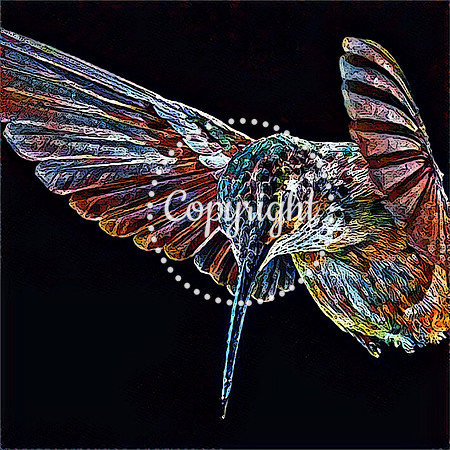 Hummingbird
