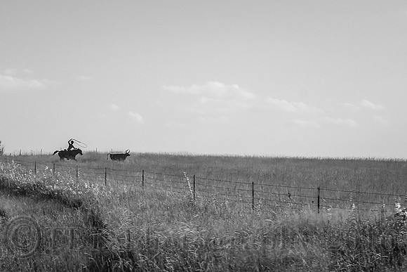 Out of the Car Window