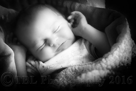 _MG_0002-Edit