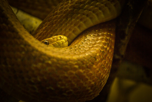 denver zoo 09082014-12