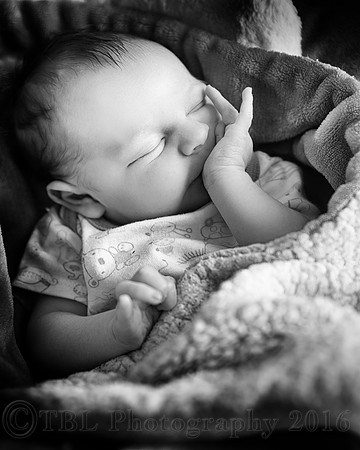 _MG_0003-Edit-Edit