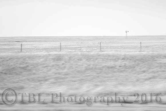 Out of the Car Window