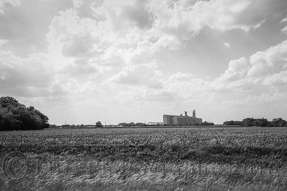 Out of the Car Window
