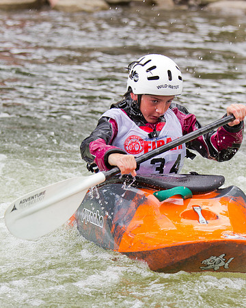 2012 Fibark-39