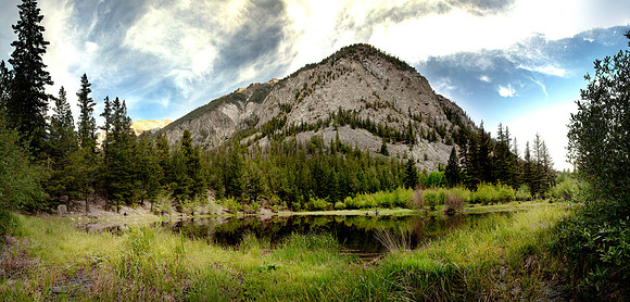 Mt Boulder beaver pond