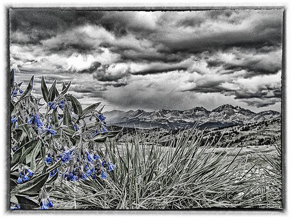 Cottonwood pass blues 2009