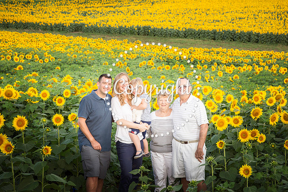 _MG_0076-Edit