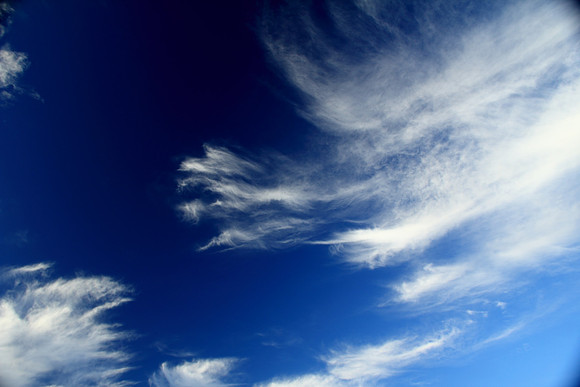 Cloud Dragon