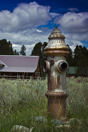 Tin Cup (3 of 6)
